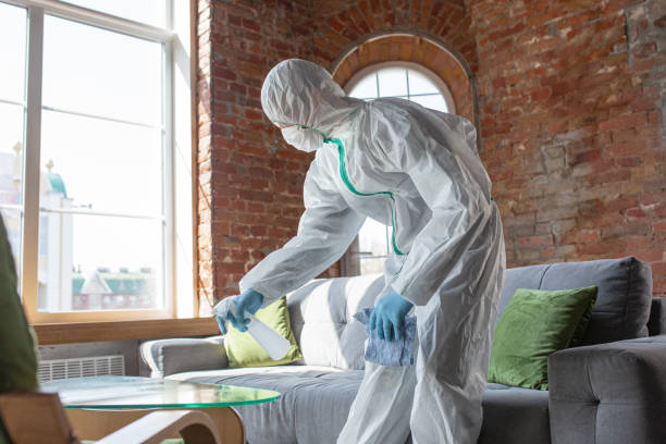 Best Mold Prevention Services in Des Moines, WA